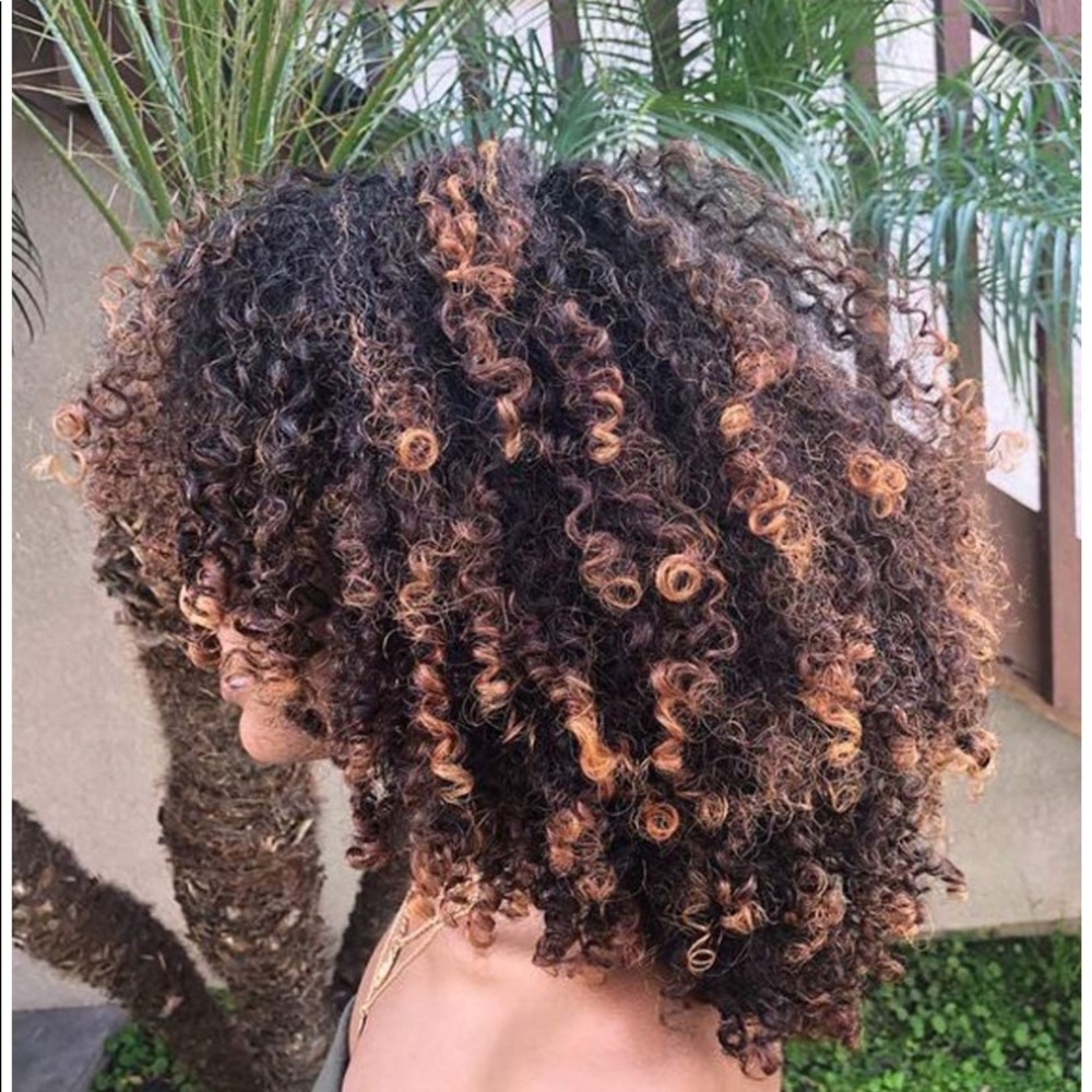 #418 Psalms Brown/black curly synthetic wig